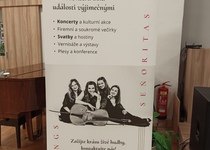 Tříkrálový koncert