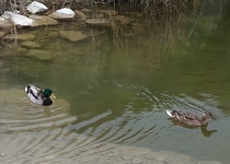 První letošní vlastivědný výlet