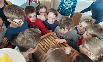 Vše o včeličkách