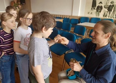 Vše o včeličkách