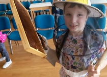 Vše o včeličkách