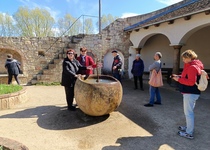 Zájezd na jarní etapu výstavy Flora Olomouc