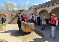 Zájezd na jarní etapu výstavy Flora Olomouc