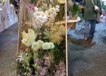 Zájezd na jarní etapu výstavy Flora Olomouc