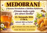 TRADIČNÍ MEDOBRANÍ SE ZDEŇKOU A HONZOU